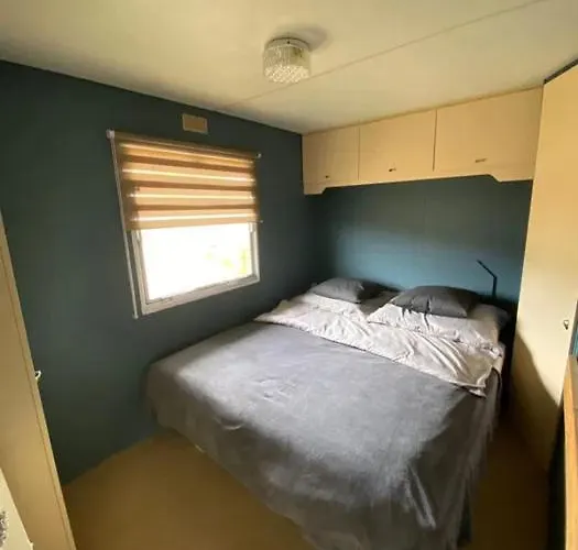 Holender Lubkowo * Zarnowiec